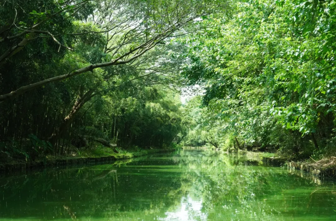 同里國家濕地公園