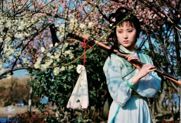 南京87版紅樓夢主題音樂會