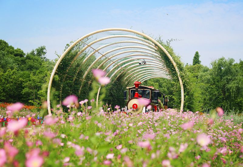 同里國家濕地公園