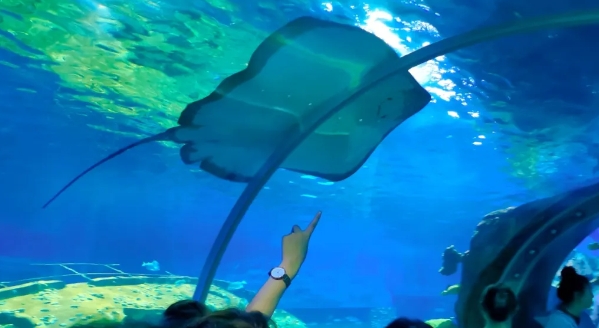 西安太奧幻太奇海洋館