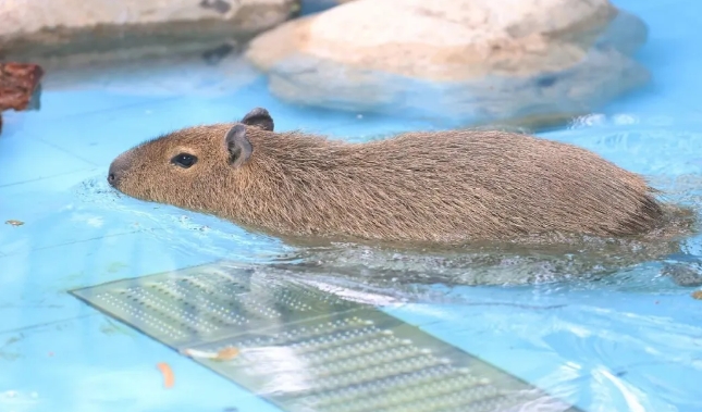 鄭州市動(dòng)物園