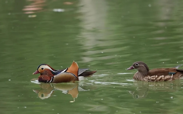 鄭州市動(dòng)物園