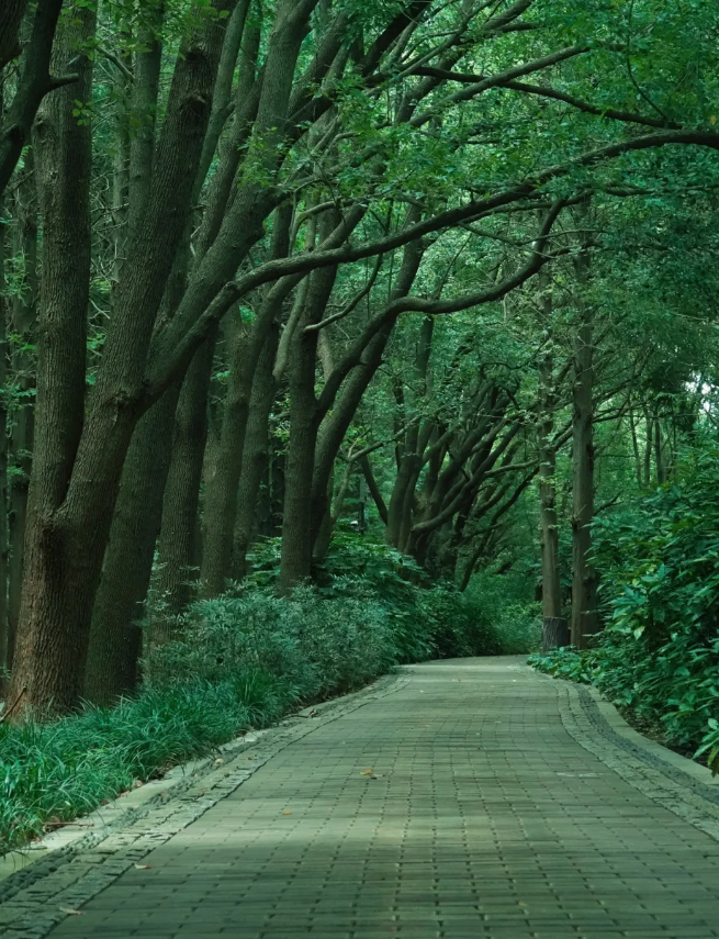 同里國家濕地公園