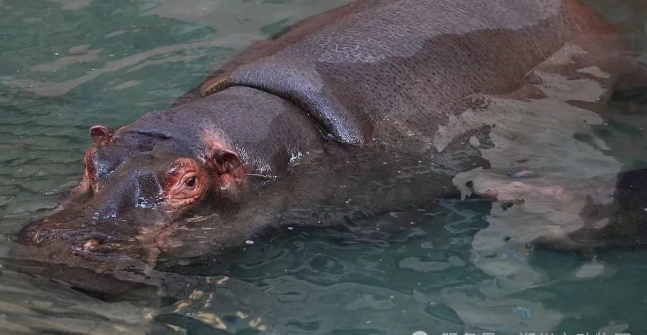 鄭州市動(dòng)物園