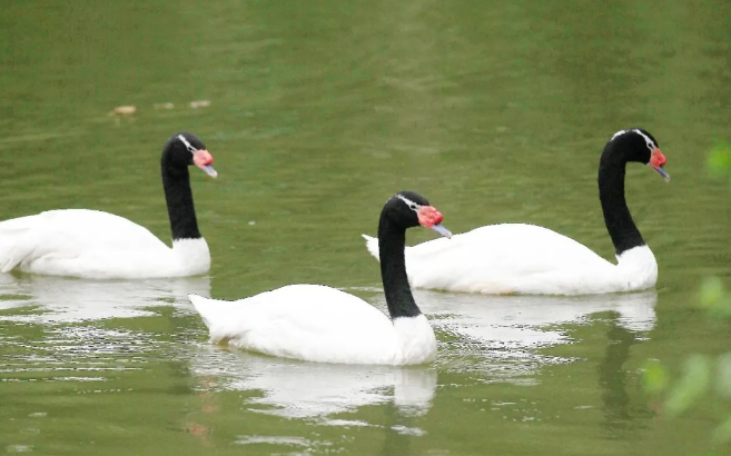 鄭州市動(dòng)物園