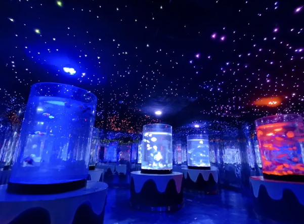 西安太奧幻太奇海洋館