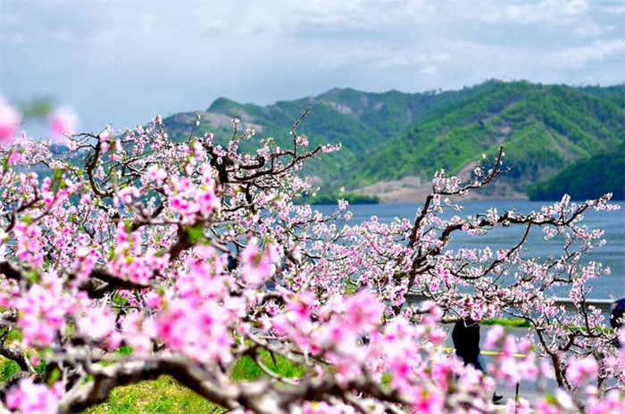鳳岡九龍景區(qū)