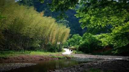 2025水墨汀溪風(fēng)景區(qū)門(mén)票預(yù)訂+主要景點(diǎn)+游玩路線(xiàn)+交通指南