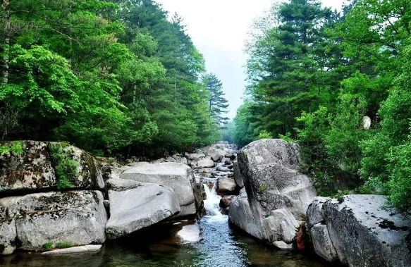 通天河國家森林公園