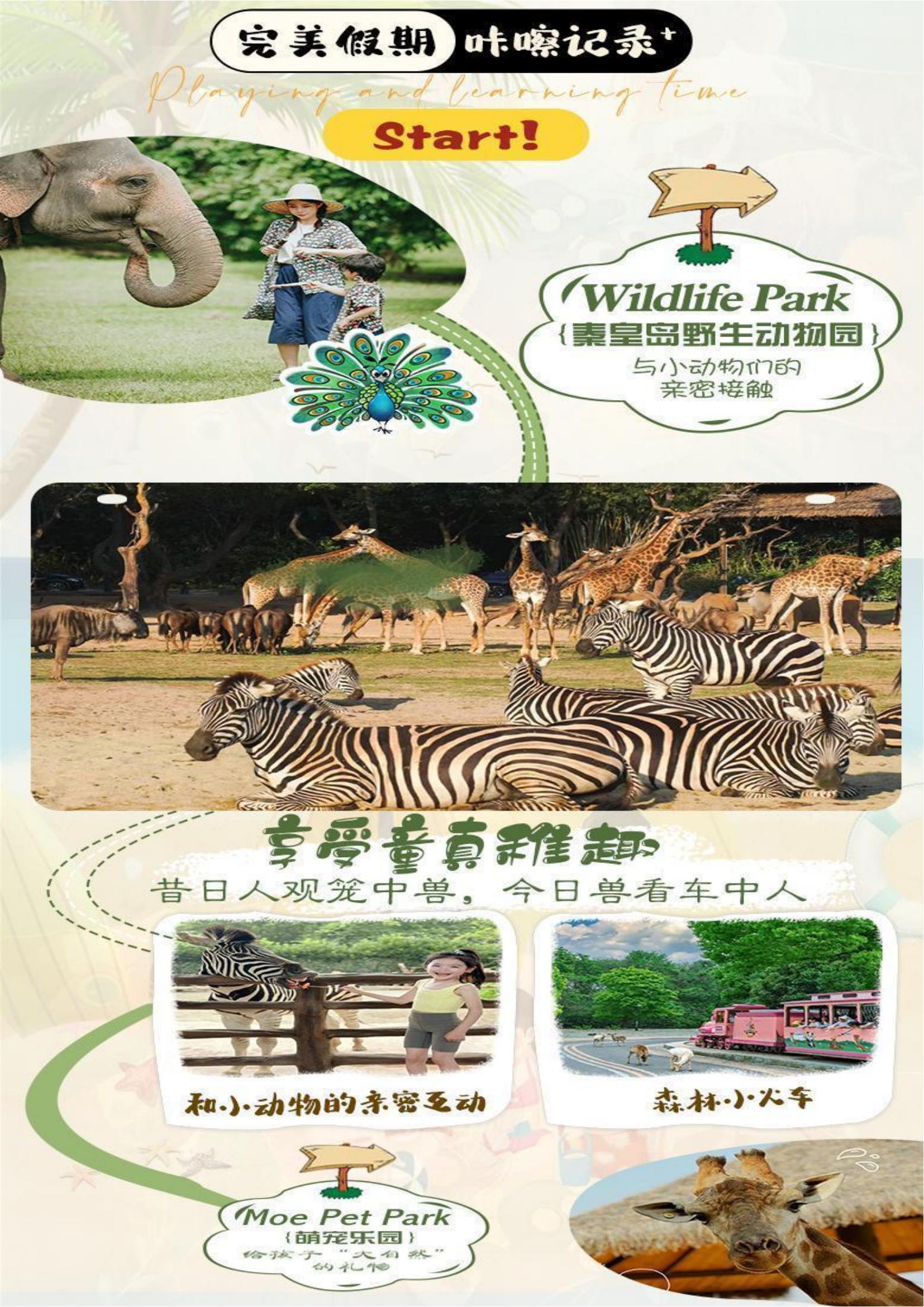 2-18成人【轻奢北戴河】_04.jpg