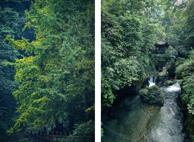 峨眉山