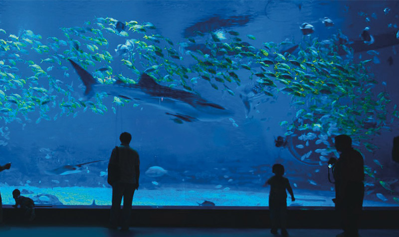 2025海濱城浩海立方海洋公園簡(jiǎn)介+門票預(yù)訂+收費(fèi)價(jià)格+免費(fèi)標(biāo)準(zhǔn)
