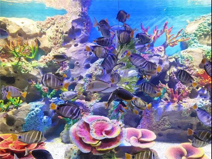 2025天津文化中心海底世界簡介+門票預約+場館地址+交通指南