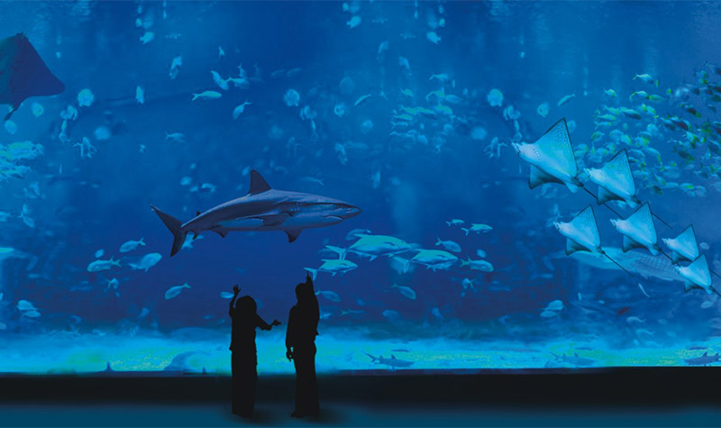 2025海濱城浩海立方海洋公園介紹+門票價格+免費人群+開放時間