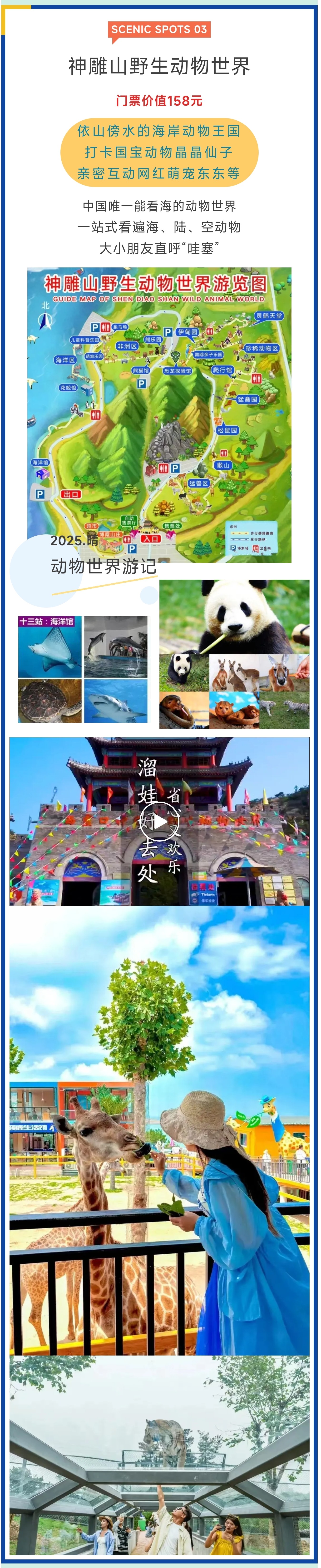 3_副本1.jpg