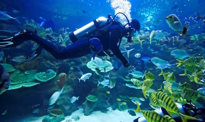 海濱城浩海立方海洋公園