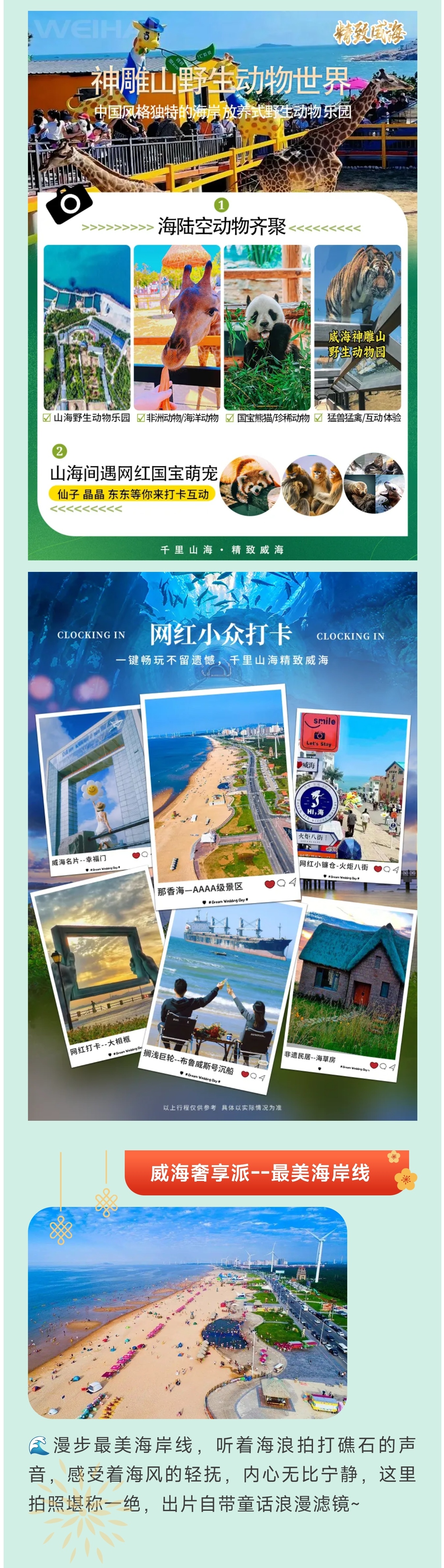 1_副本3.jpg