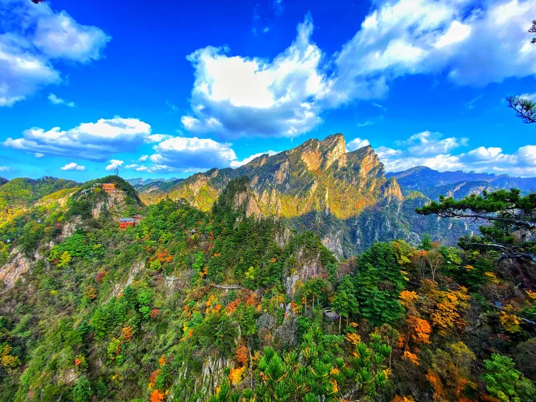 2025南陽旅游年票訂購辦理及使用攻略(附官網(wǎng)景點權(quán)益表)