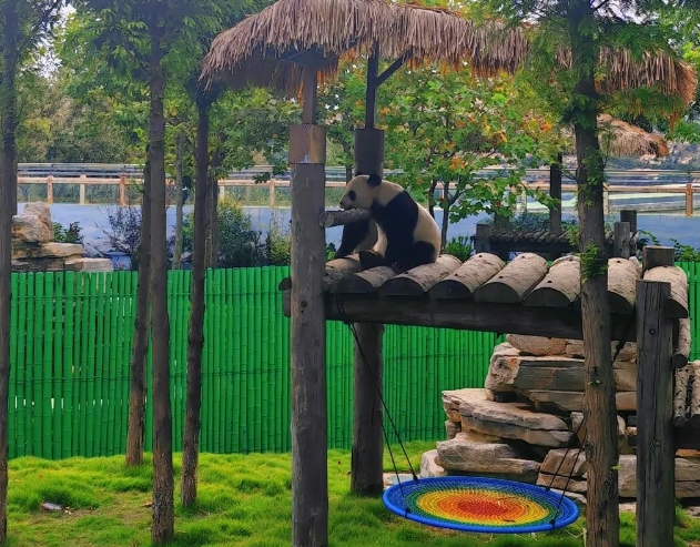 西霞口神雕山野生動物園