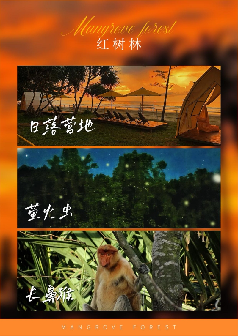 探密沙巴-4.jpg