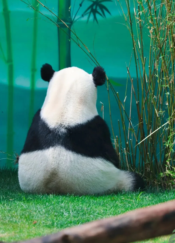 無錫動(dòng)物園