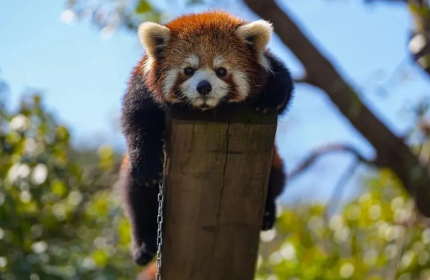 2025無錫動物園游玩亮點+游園地圖+門票信息+地理位置