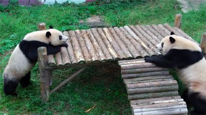 無錫動(dòng)物園