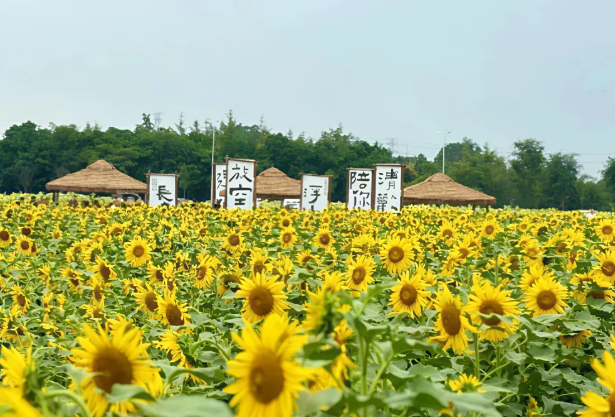 音樂百花谷