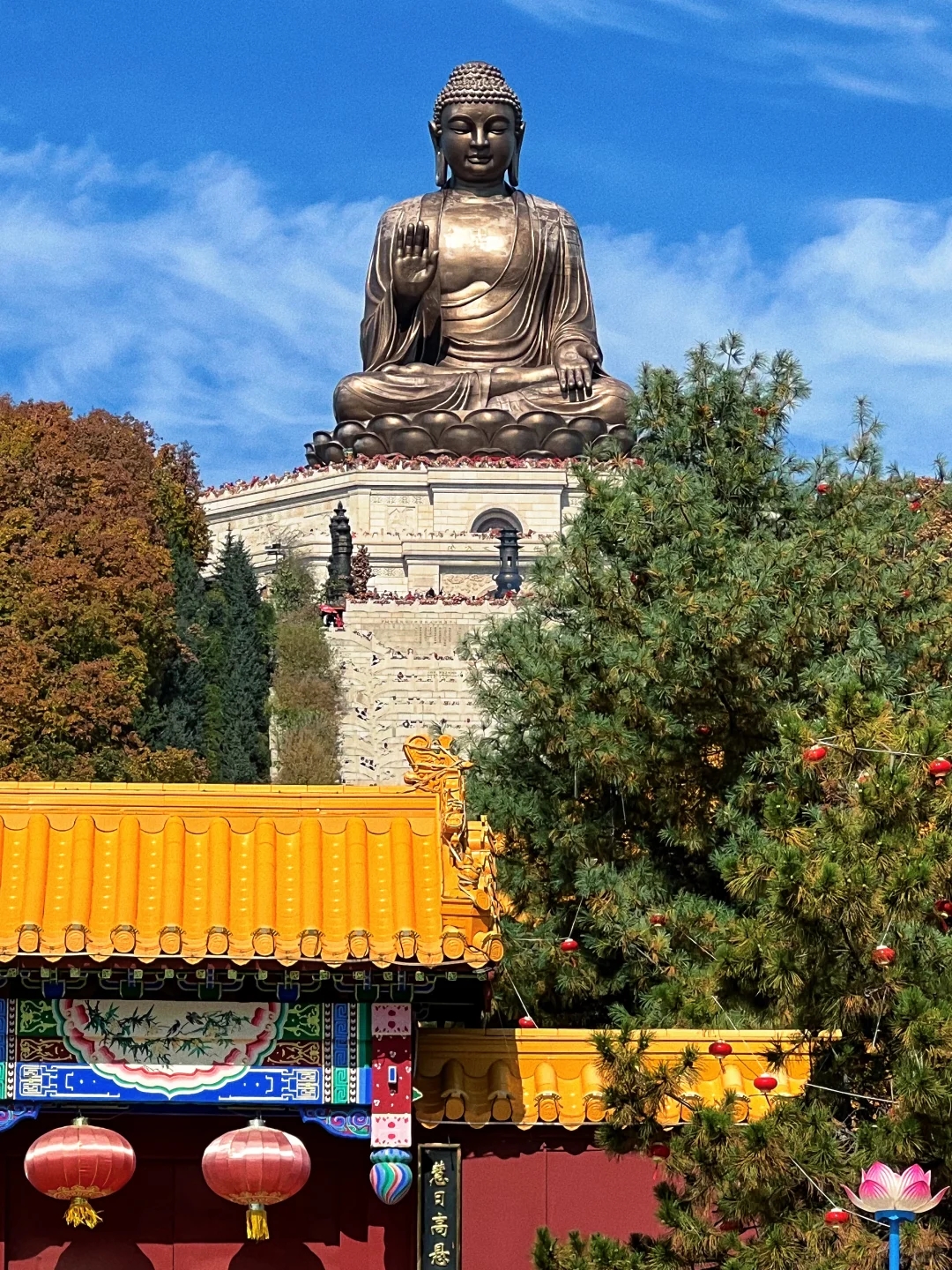 介绍3.jpg