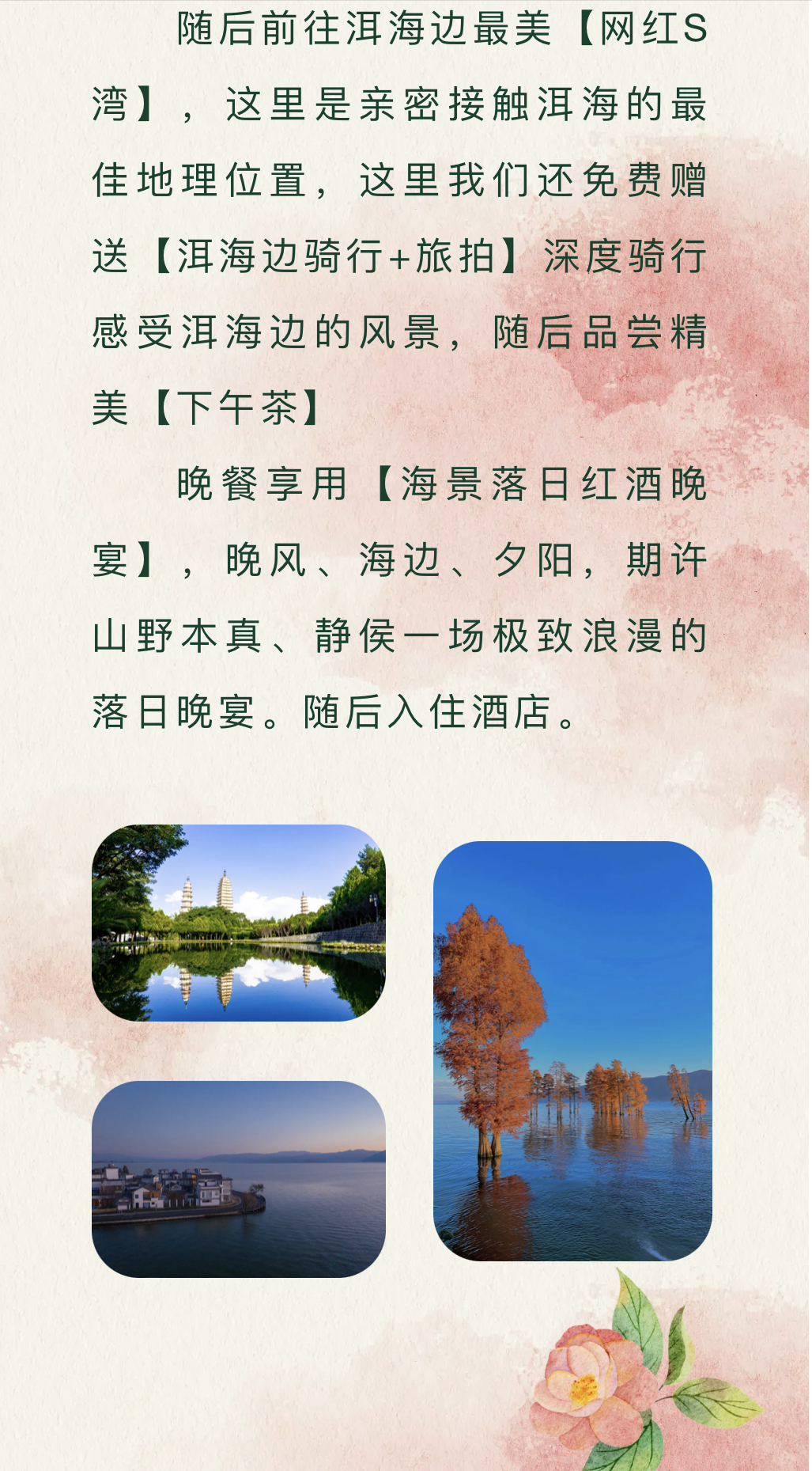 e6275eb084ffa4c8e3b1412f6509abf.jpg
