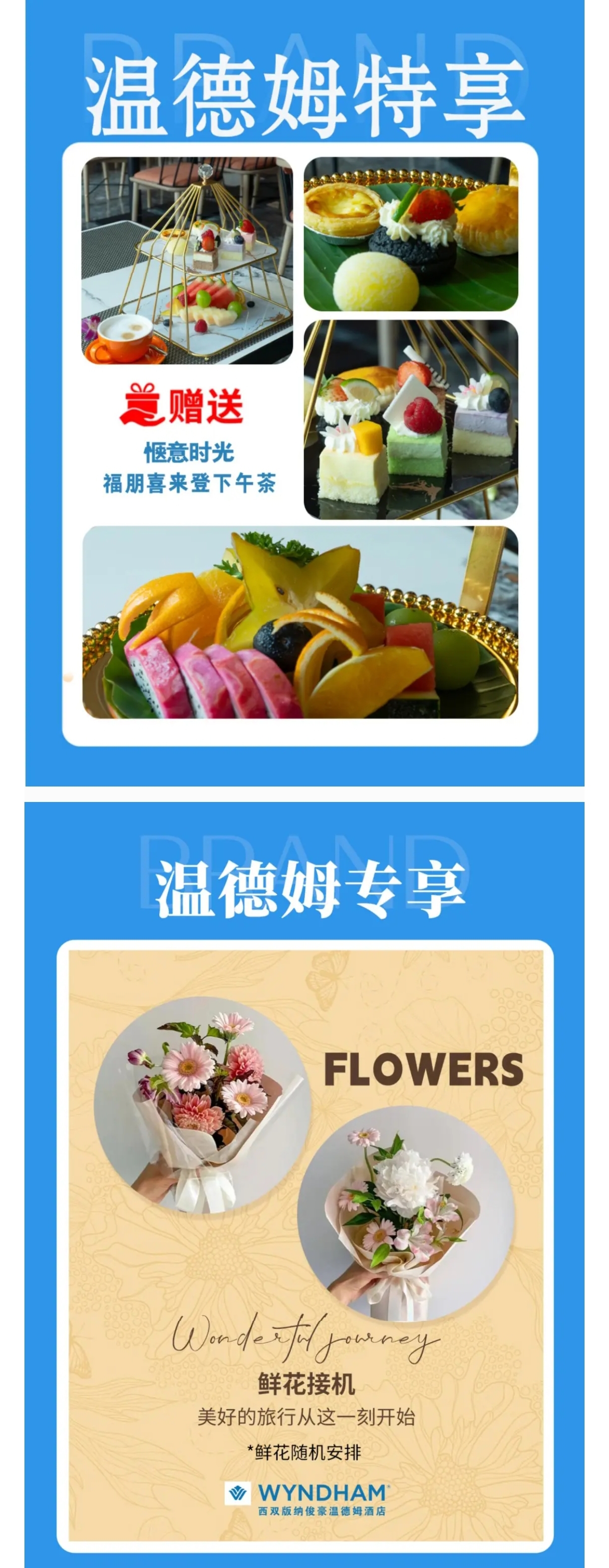 介绍2.5.jpg