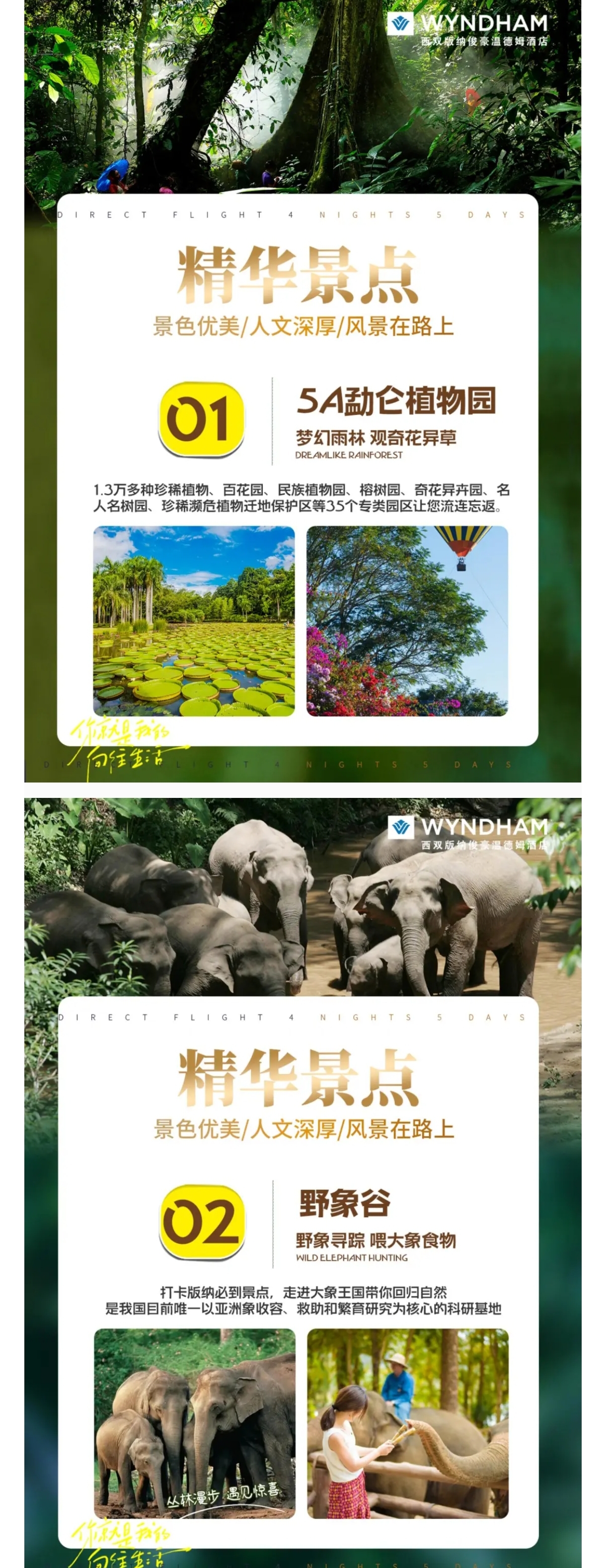 介绍2.2.jpg