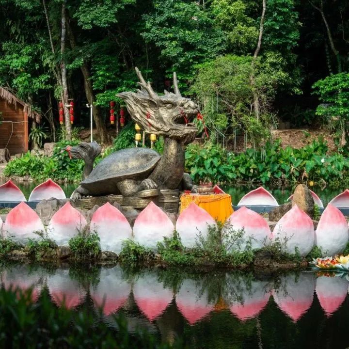 海南百花嶺