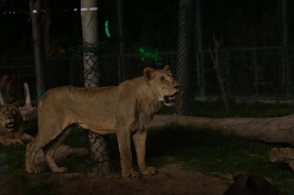 周口野生動物世界