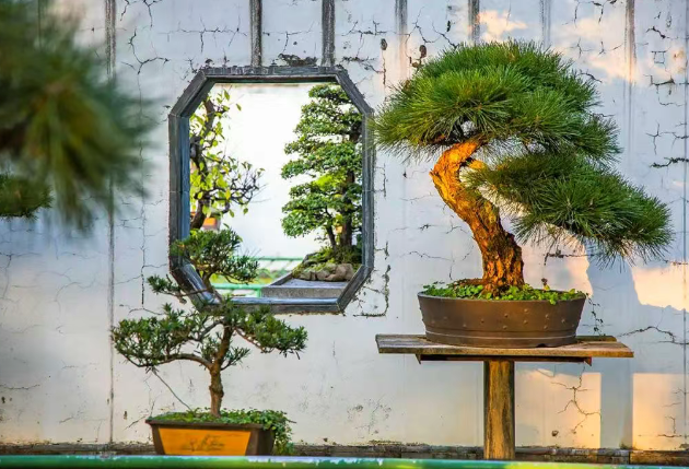 棠樾牌坊群鮑家花園