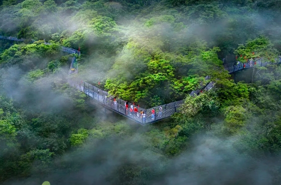 海南百花嶺