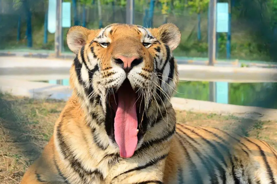 周口野生動物世界