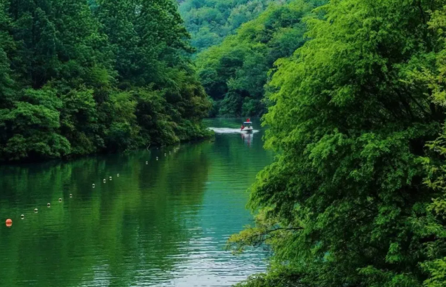 鯨魚溝竹海風景區(qū)