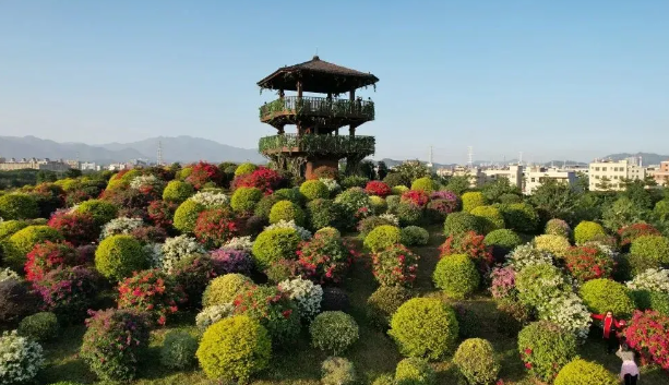 千花洲旅游度假區(qū)