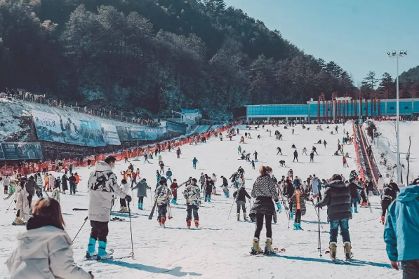 湖北旅游惠民卡