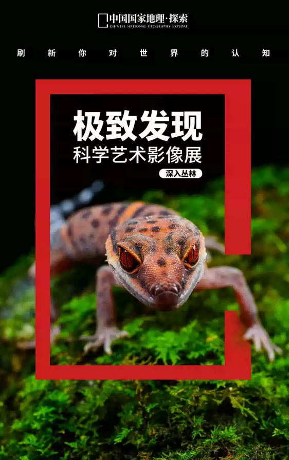 圖片.png