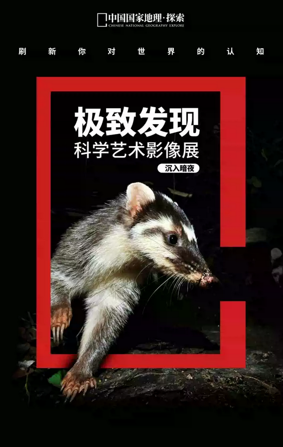 圖片.png