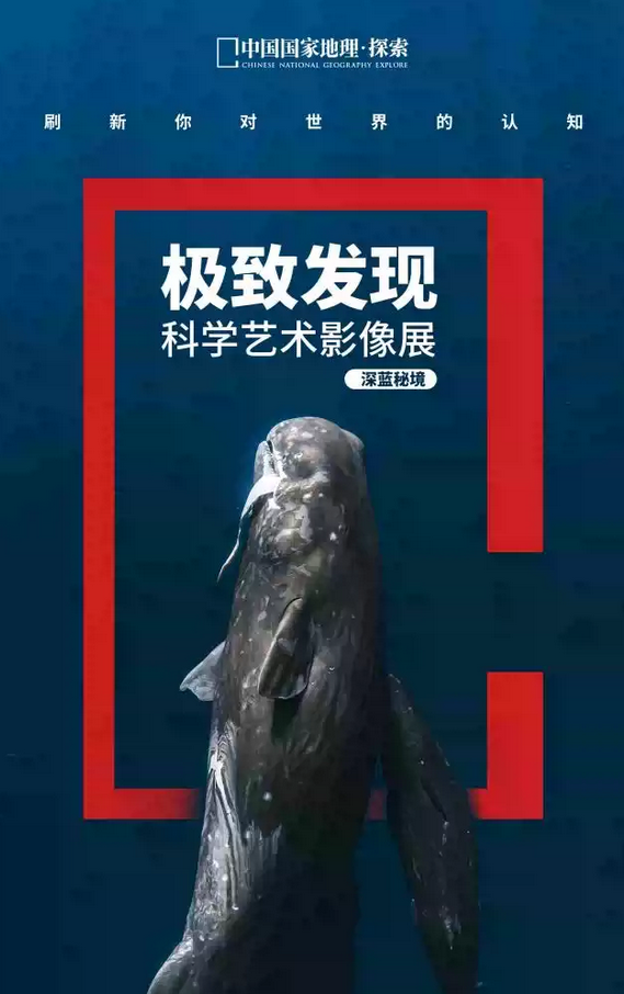 圖片.png