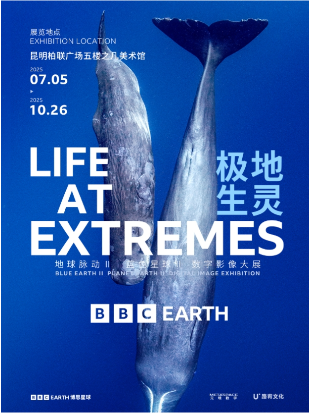 2025昆明英國(guó)bbc earth 極地生靈數(shù)字影像大展觀展信息（時(shí)間表+場(chǎng)館+門票）