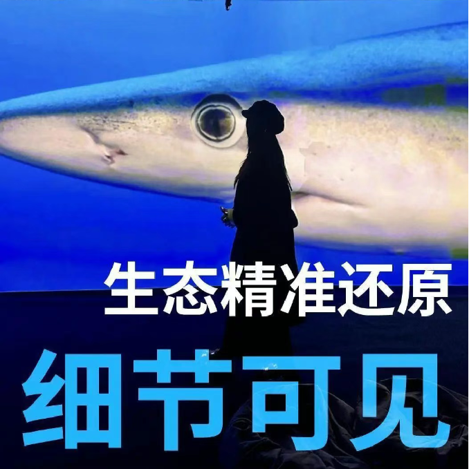 /uploads/image/2025/07/14/8c7d8b0be12600e4244975f1d6acb7d5.png