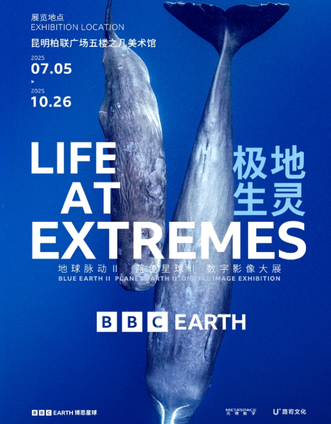 2025昆明英國(guó)bbc earth極地生靈數(shù)字影像大展門票價(jià)格及展覽介紹(附購(gòu)票入口)