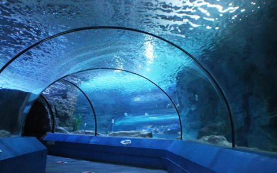 中泰海洋世界