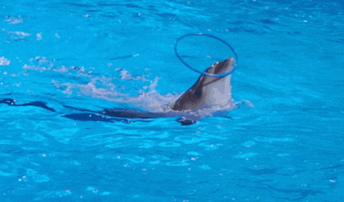 ecac9565b45fc0793aae46b7cb2f9de9.jpg
