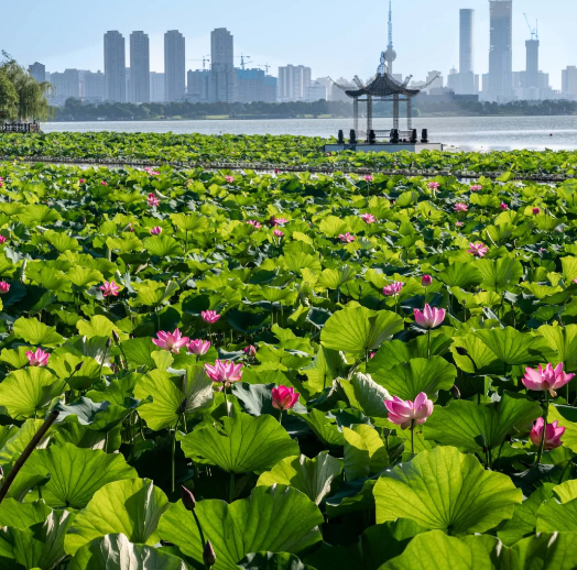 云龍湖旅游景區(qū)