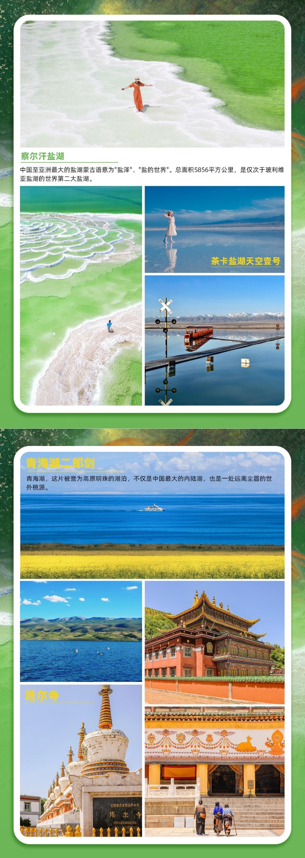 介绍4.jpg